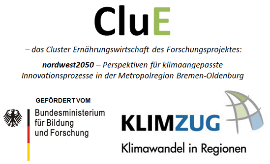 Clue Logo